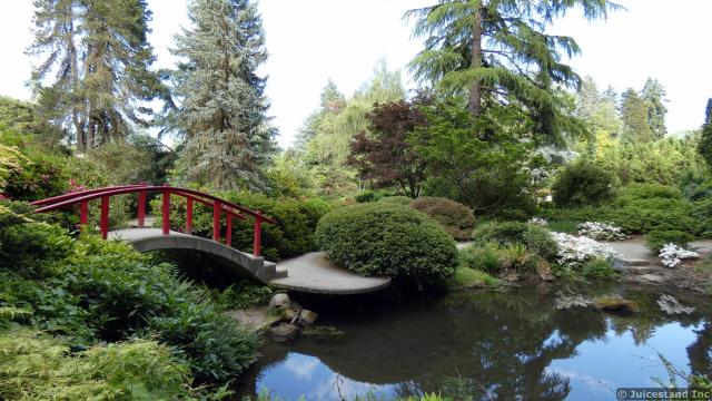 Asian Curved Bridge over Zen Pond