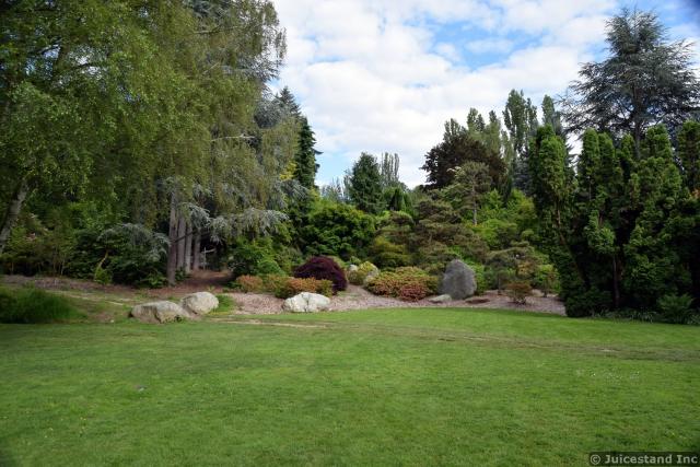 Grassy Tree-Lined Clearing at Kubota Garden