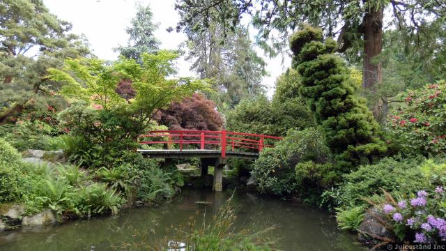 Japanese Red Curved Bridge at Kubota Garden