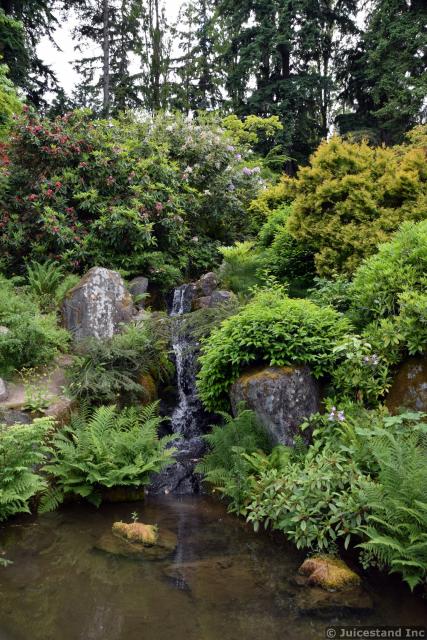 Mini-Waterfall at Kubota Garden