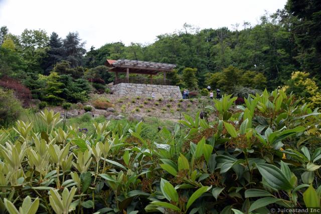 Pavilion at Kubota Garden Seen from Below