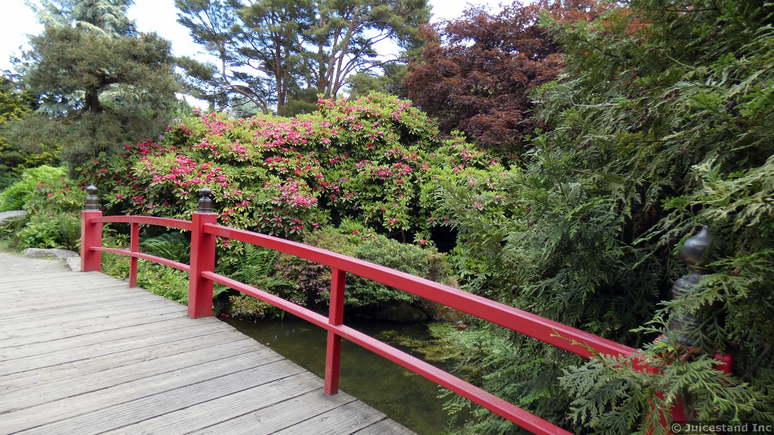 Red Curved Bridge of Kubota Garden
