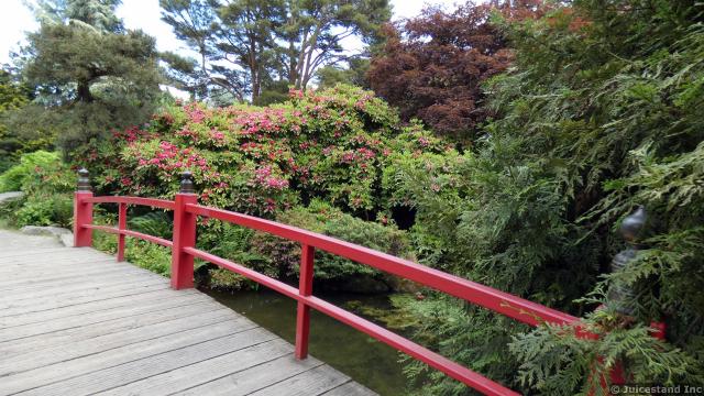Red Curved Bridge of Kubota Garden