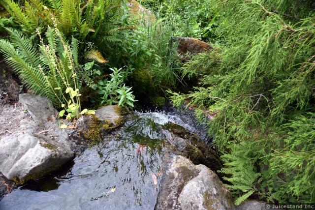 Small Rushing Water Stream at Kubota Garden