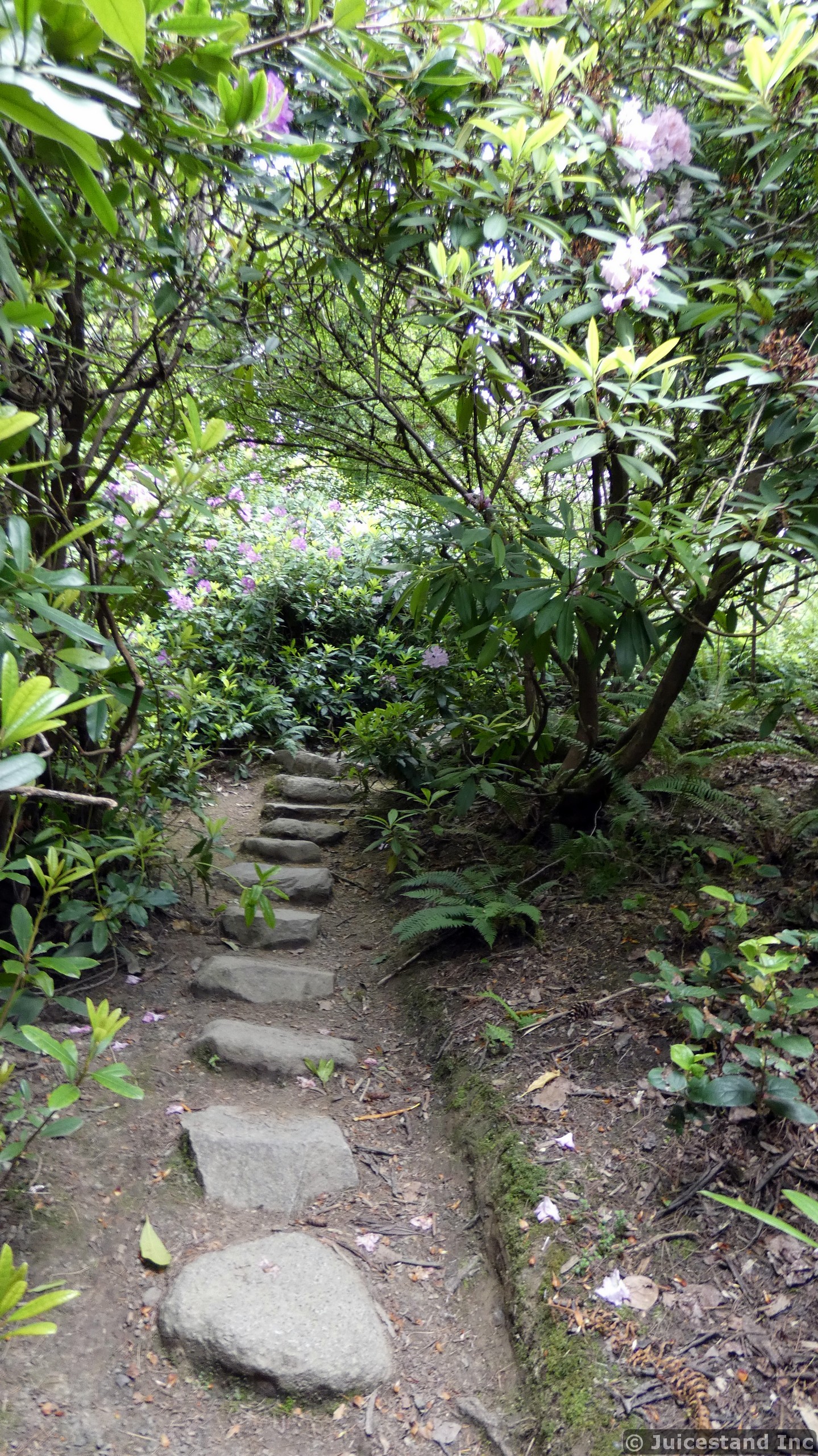 Stone Steps on a Path at Kubota Garden