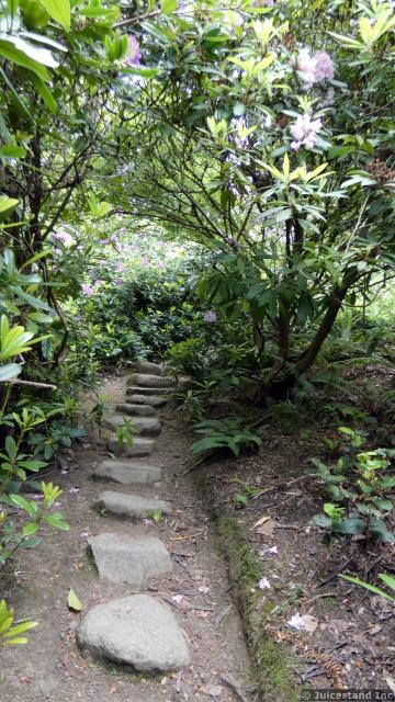 Stone Steps on a Path at Kubota Garden