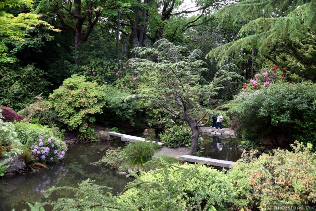 Tree and Bush-lined Pond at Kubota Garden