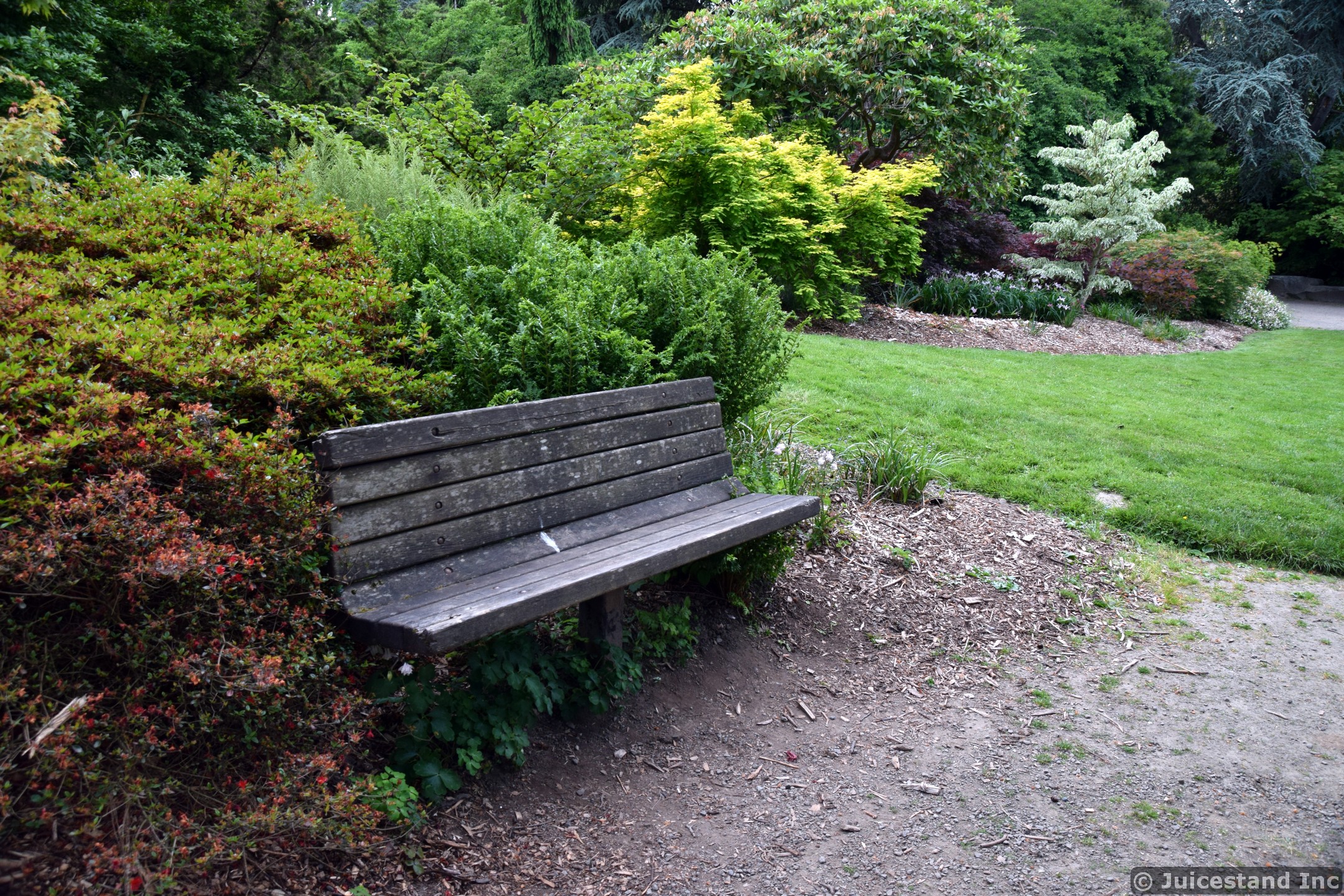Wooden Bench at Kubota Garden