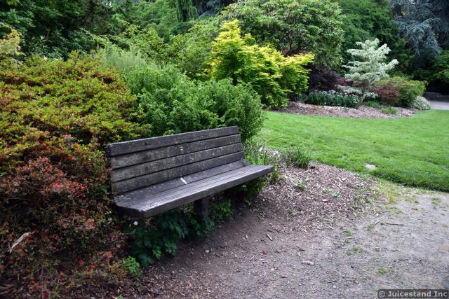 Wooden Bench at Kubota Garden
