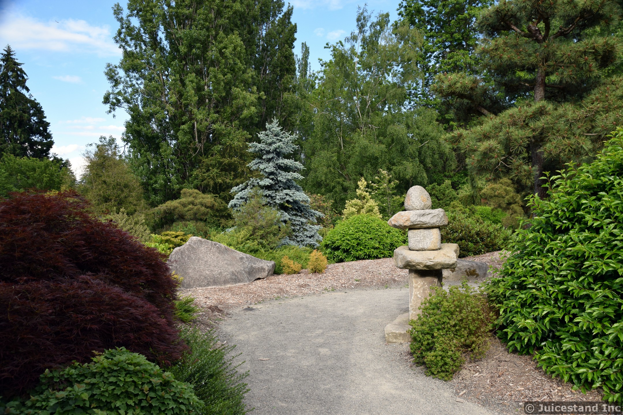 Zen Stone Pillar Among Trees