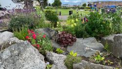 Natal Garden in Invergordon Scotland