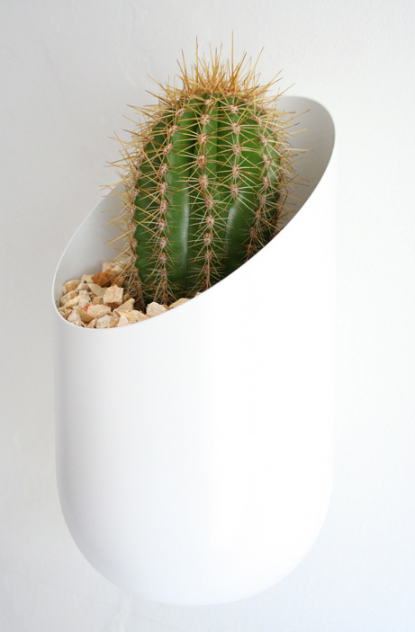 Cool cool planters picture.PNG