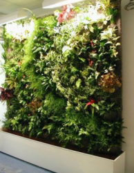 Big cool decorations garden.PNG