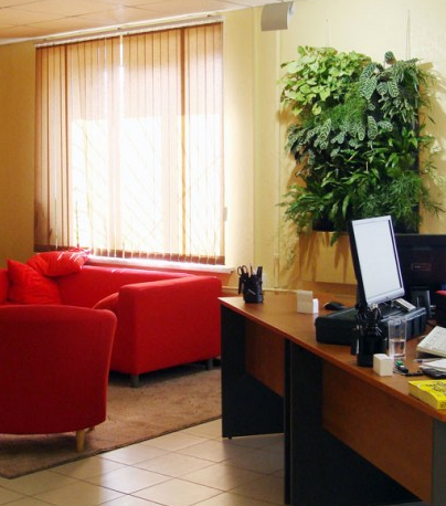 wall planters picture.PNG