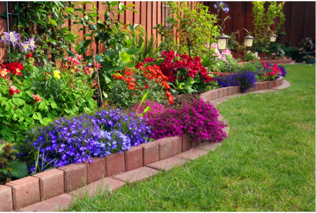 Beautiful garden picture.PNG