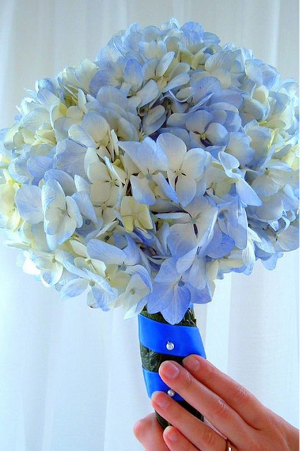 bouquet blue hydrangea wrap.PNG