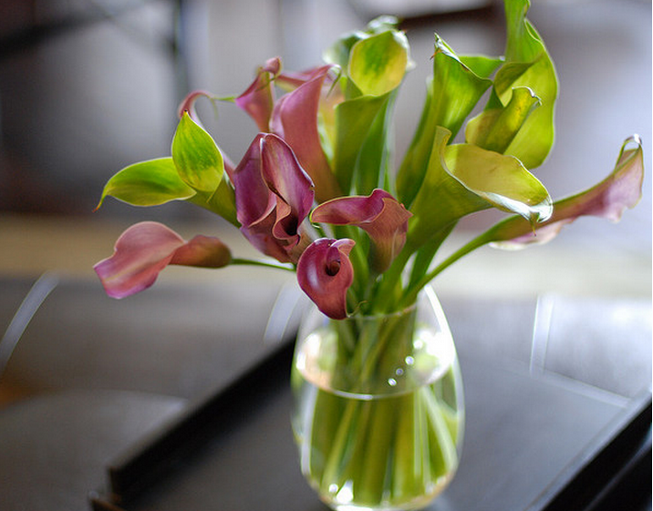 calla lily arrangement.PNG