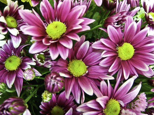 wedding flowers photo.jpg