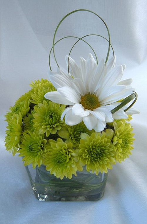 arrangement daisy green grass loop.PNG