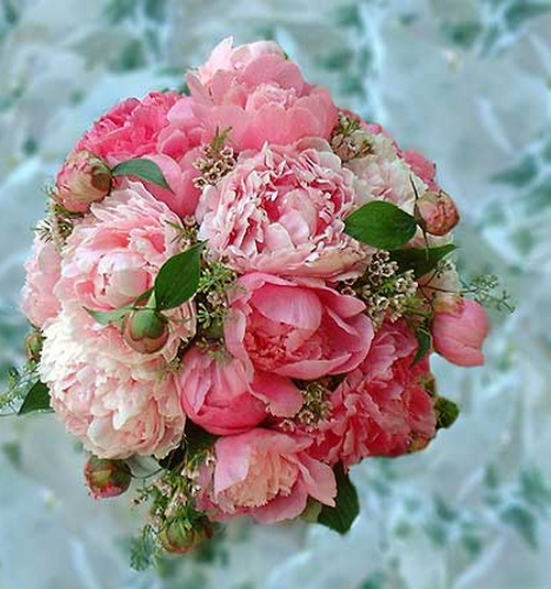 Peony Wedding Bouquet.PNG