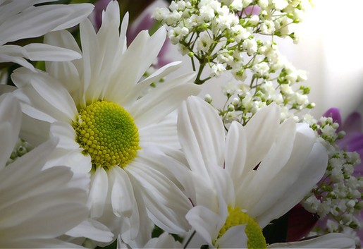 white bride bouquet.jpg