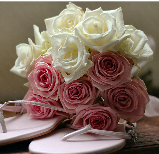 white and pink rose.PNG