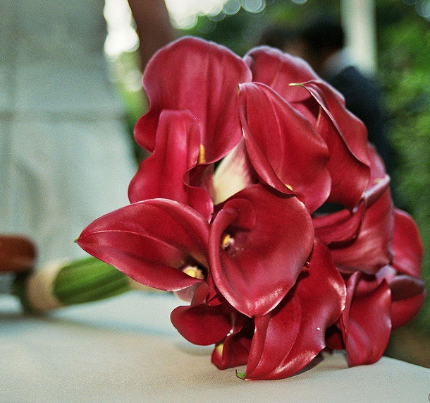 Red lilies wedding bouquet pictures.PNG