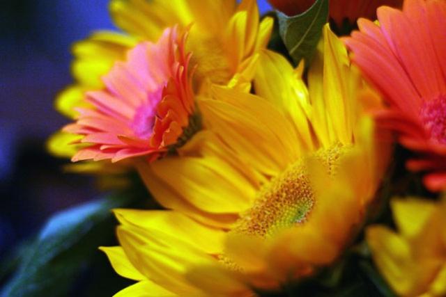 yellow wedding flowers.jpg