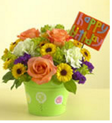 Colorful fresh flowers birthday gift pictures
