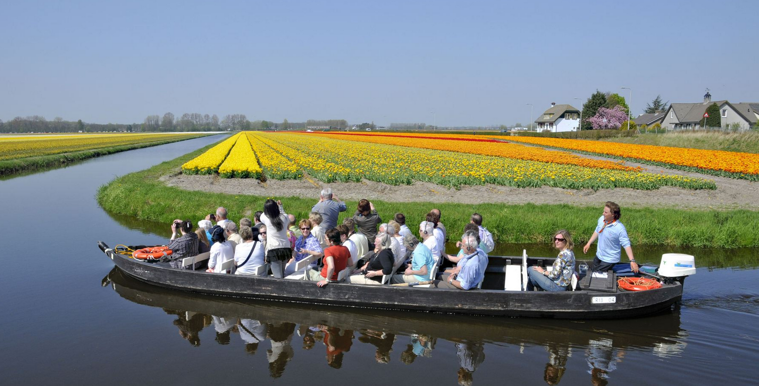 Flowers fields Netherlands garden pictures.PNG