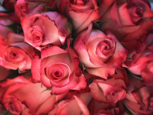 Wedding Bouquet with red roses.jpg