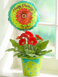 Fresh flower pot for birthday gift.PNG