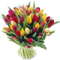 coloful bridal bouquet with tulips picture.jpg