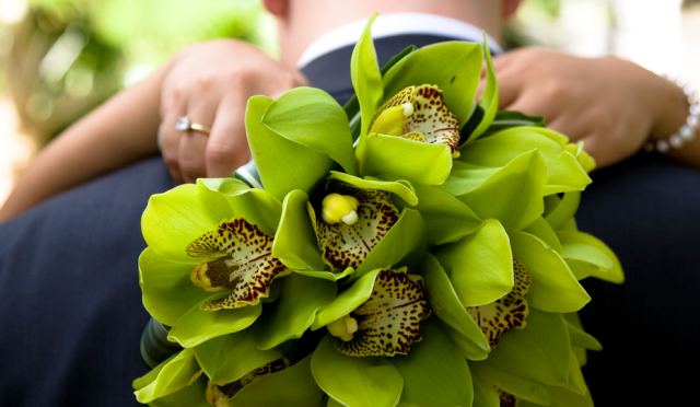 Green cymbidium orchid bridal bouquet photo.PNG