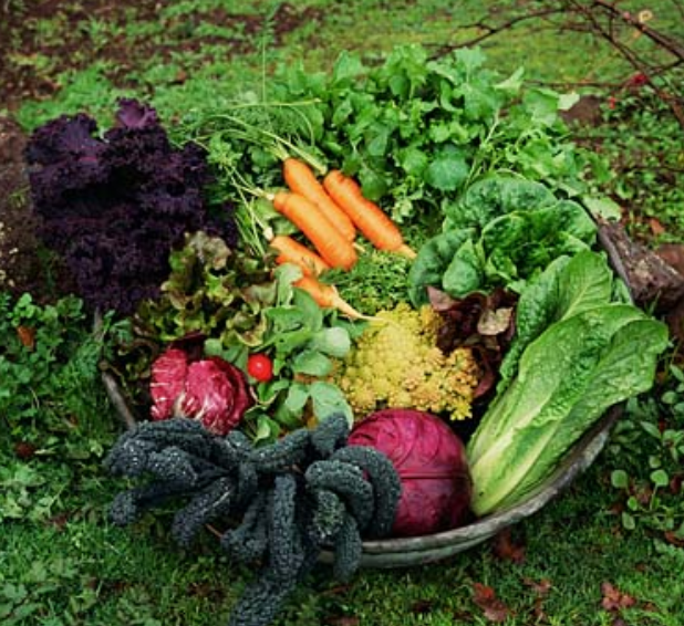 Pictures of vegetables basket.PNG