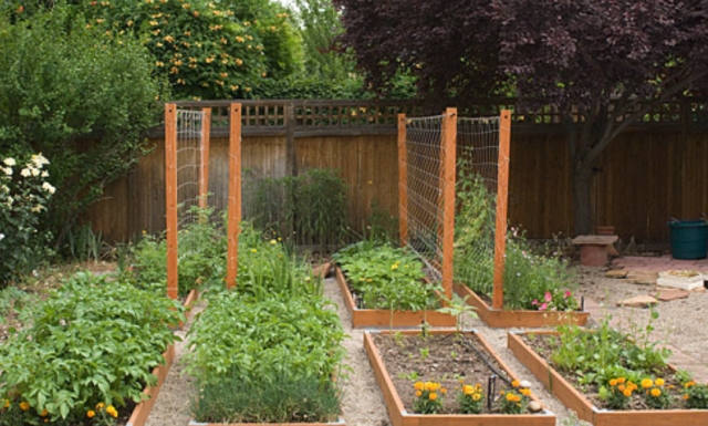 Urban garden ideas pictures.PNG