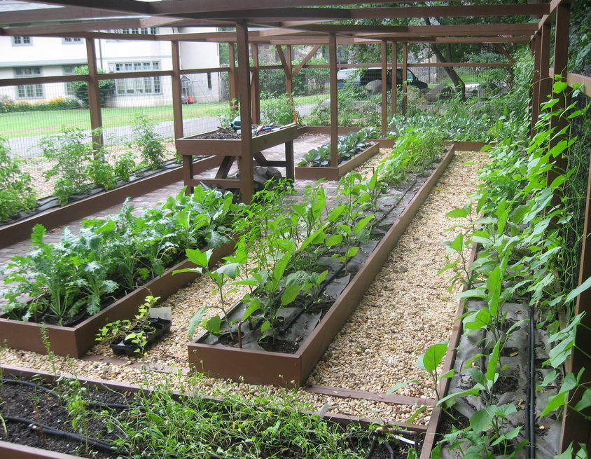 Vegetable garden design ideas pictures.PNG