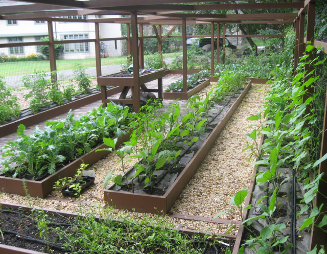 Vegetable garden design ideas pictures.PNG
