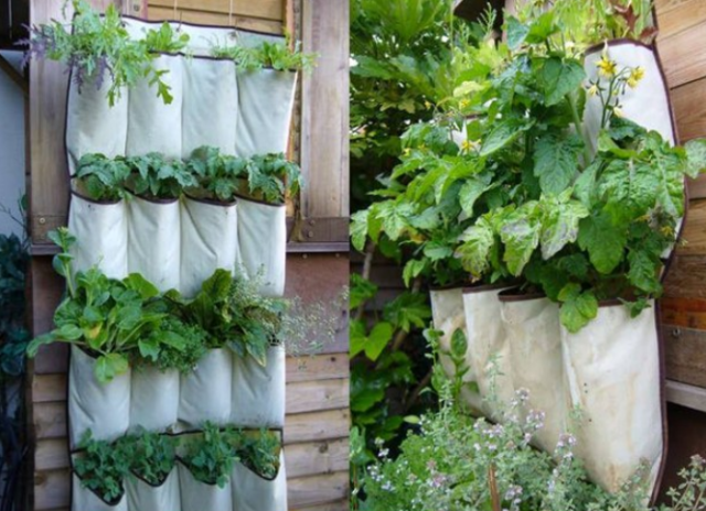 Fabric vertical vegetable gardening ideas photo.PNG
