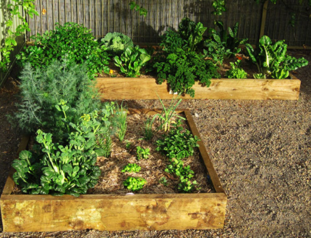 Great ideas for vegetable garden photos.PNG