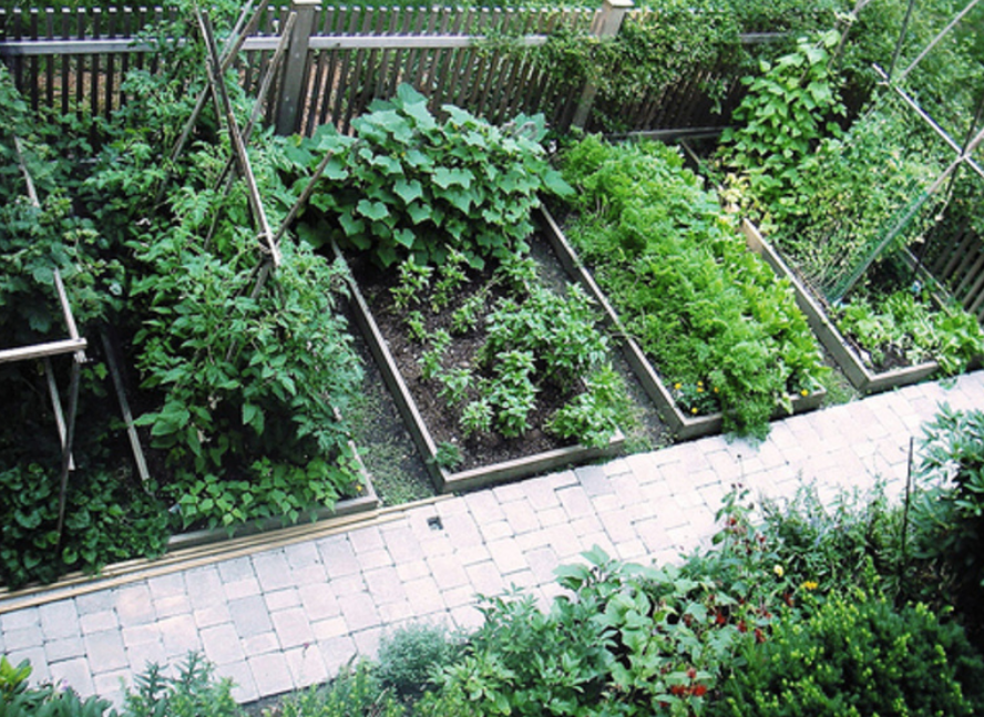 Great ideas of  vegetable garden in wood islands.PNG