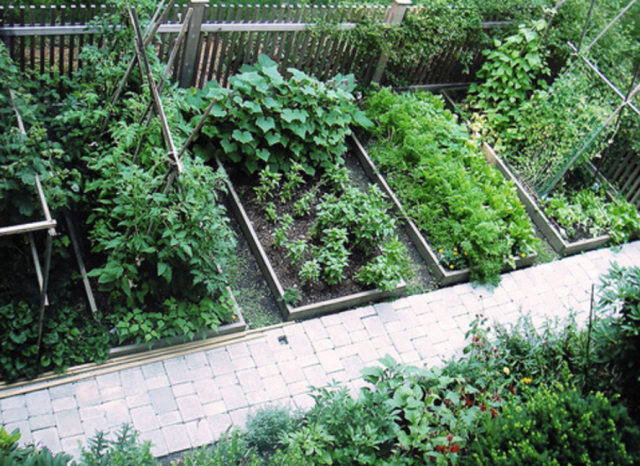 Great ideas of  vegetable garden in wood islands.PNG
