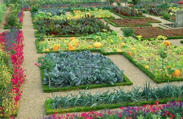 Beautiful garden with full of beautiful flowers and vegetables and pumpkin.PNG