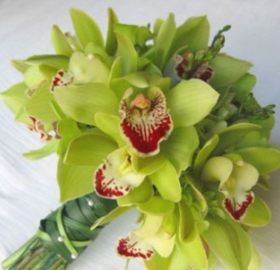 green orchid with red patterns.PNG