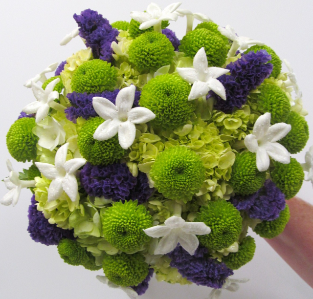 green purple.PNG