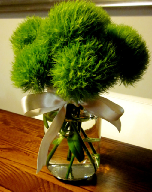 Green Trick Dianthus.PNG