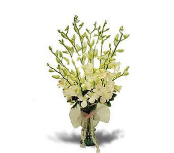 dendrobium orchid flower centerpiece_wedding flowers photo.jpg