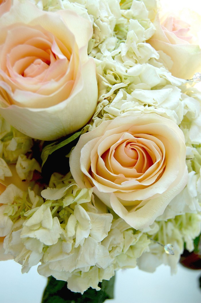 peach roses hydrangea wedding bouquet.jpg