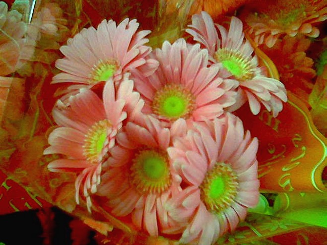 peach daisies bride bouquet photo.jpg