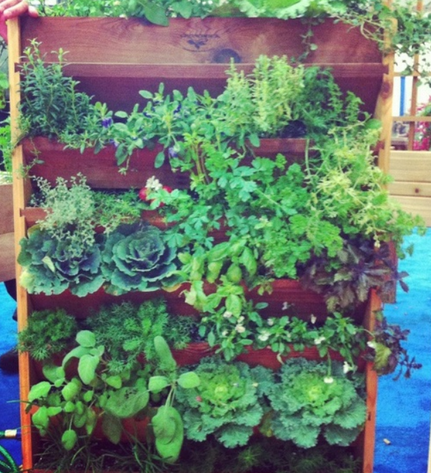Vertical vegetable garden with all kind of vegebles and herbs.PNG